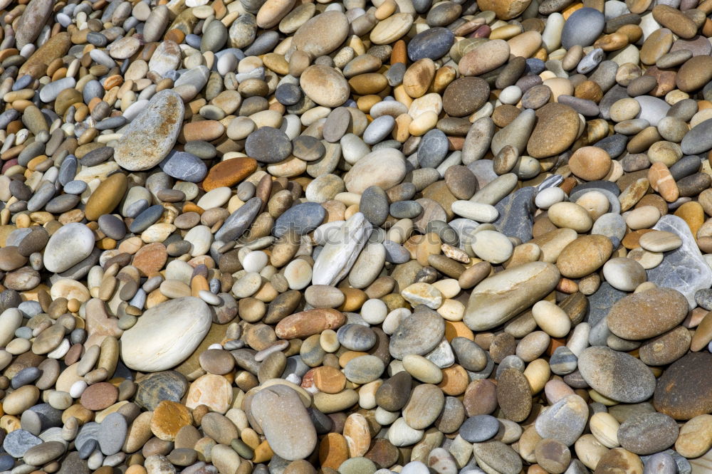 Similar – pebble Coast Beach