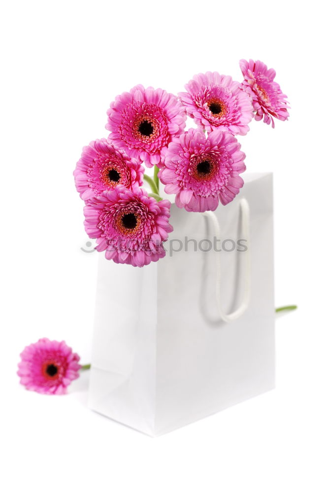 Image, Stock Photo Pink shopping bag with gerbera flowers