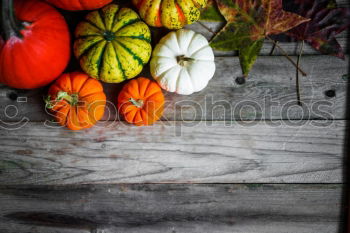 Similar – Autumn decoration handicraft