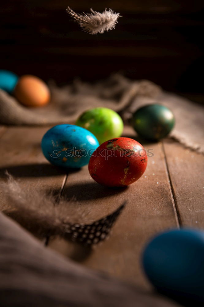 Similar – Bunte Eier nach dem Eierfärben für Ostern im Eierkarton