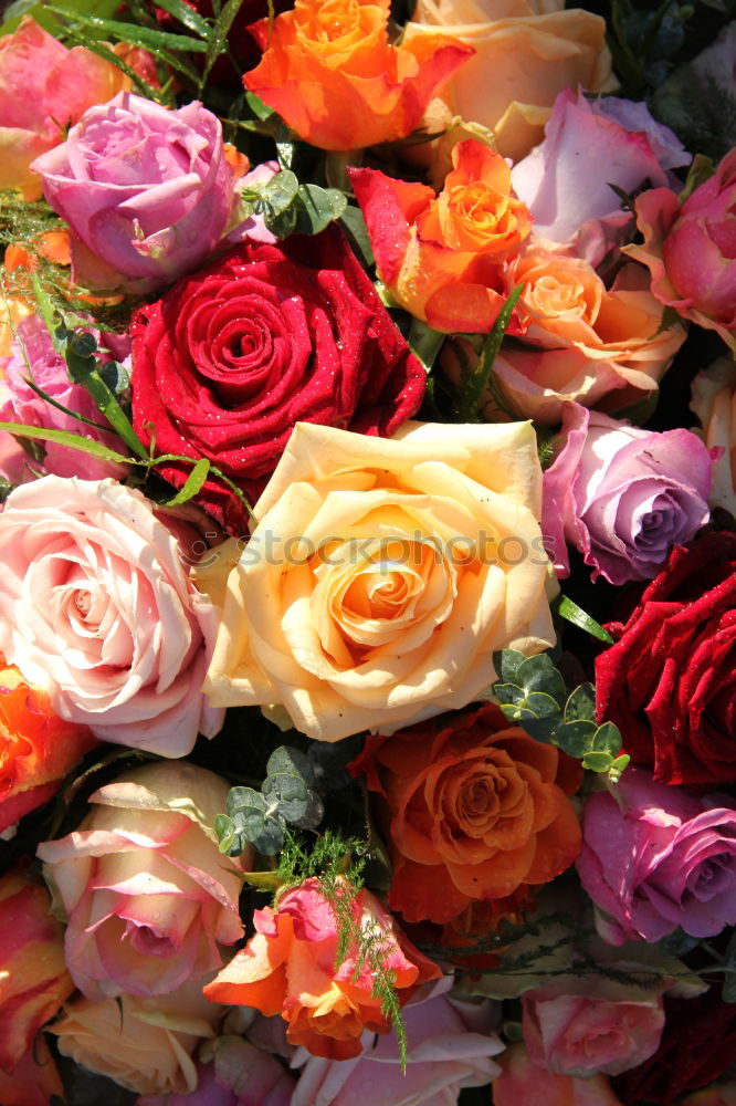 Similar – Image, Stock Photo Bouquet on red background