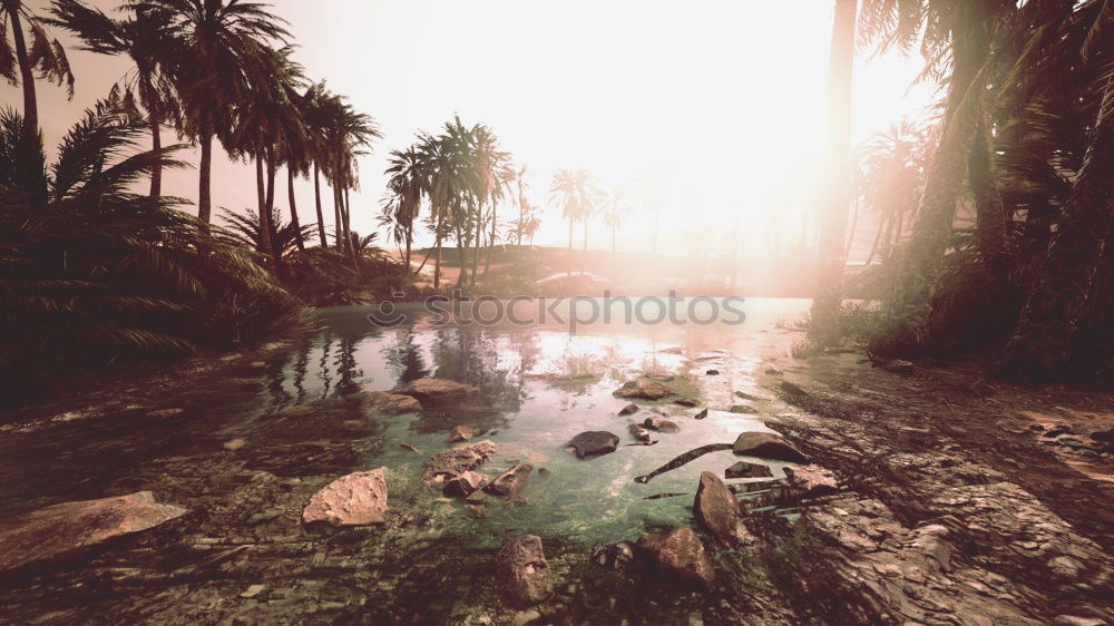Similar – Image, Stock Photo Park with sunshine Summer