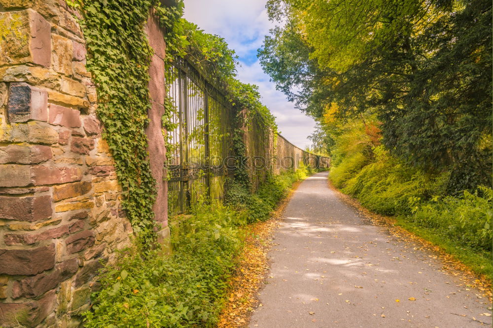 Similar – cul-de-sac Wall (barrier)