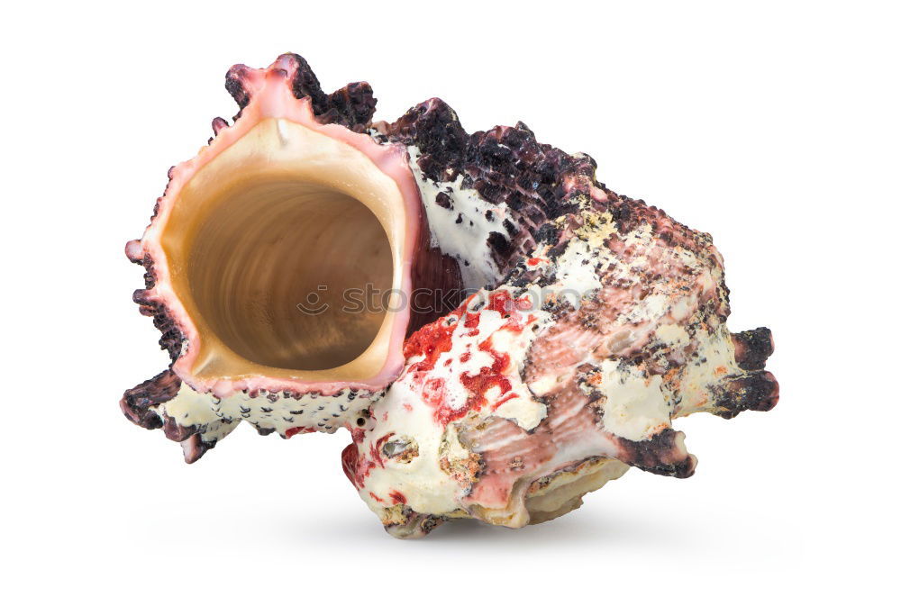 Similar – Image, Stock Photo #A# GeneFleisch Art