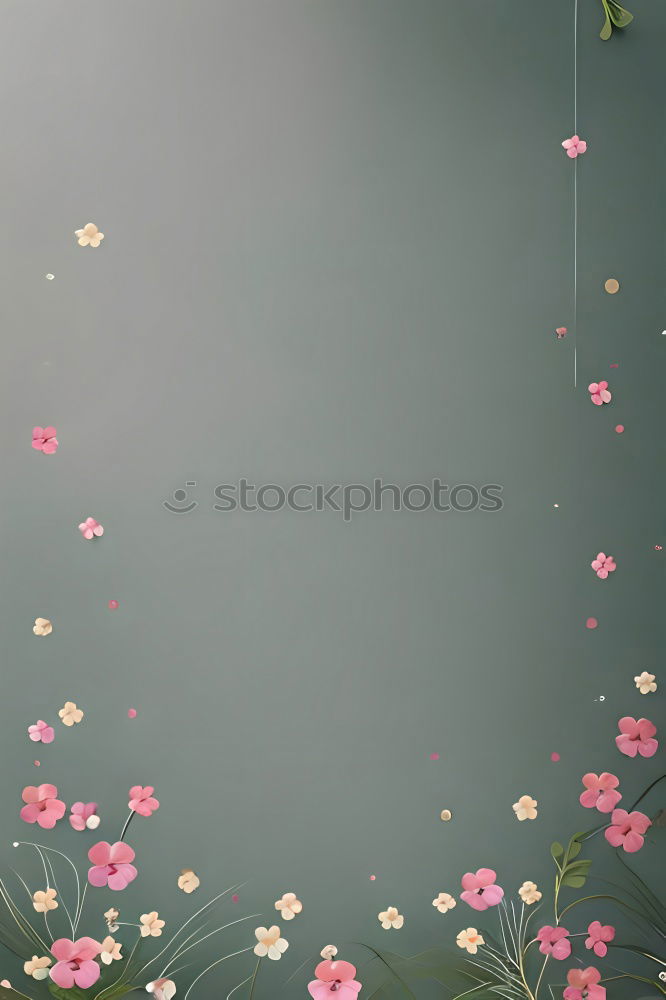 Image, Stock Photo Lady Cyclam Flower Blossom