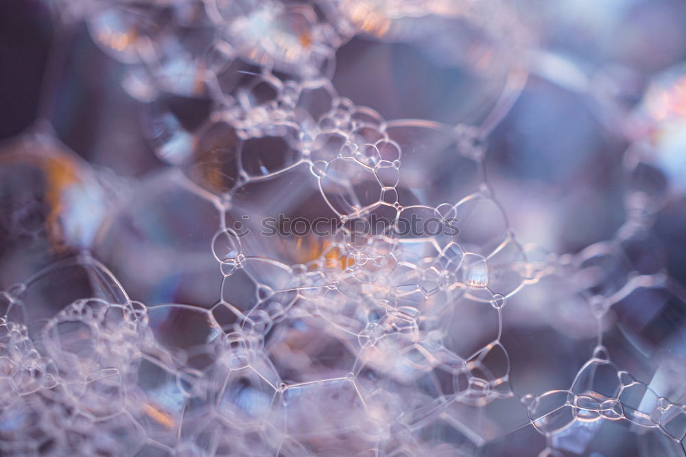 Image, Stock Photo Eggs on hay Food Nutrition