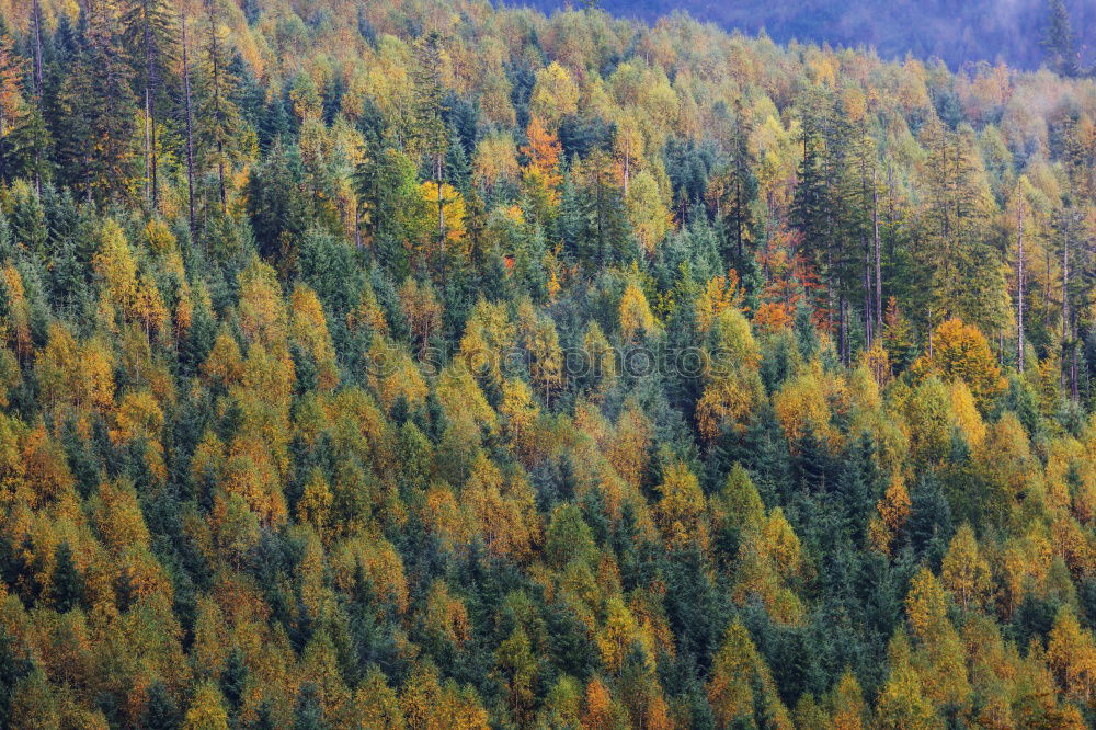 Similar – Photographs of the D´Aran Valley in the Spanish Pyrenees.