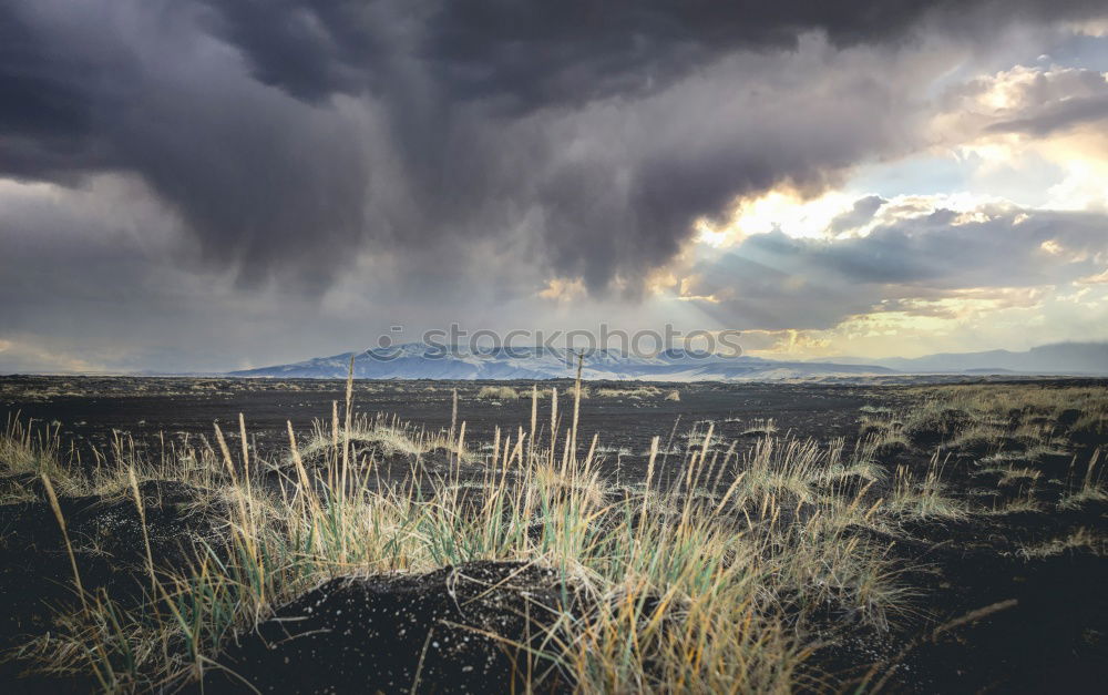 Similar – Image, Stock Photo Iceland Environment Nature