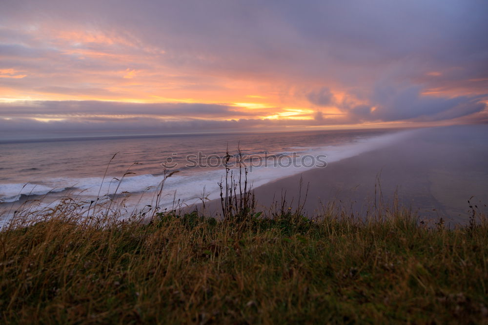 Similar – Image, Stock Photo ROUGH Nature Landscape