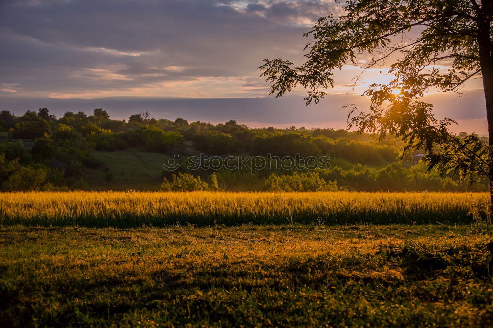 Similar – translucent Environment