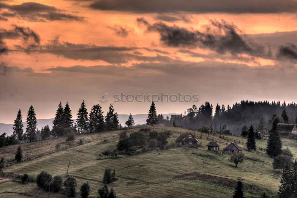 Similar – Winding paths with cypress trees between the green fields.