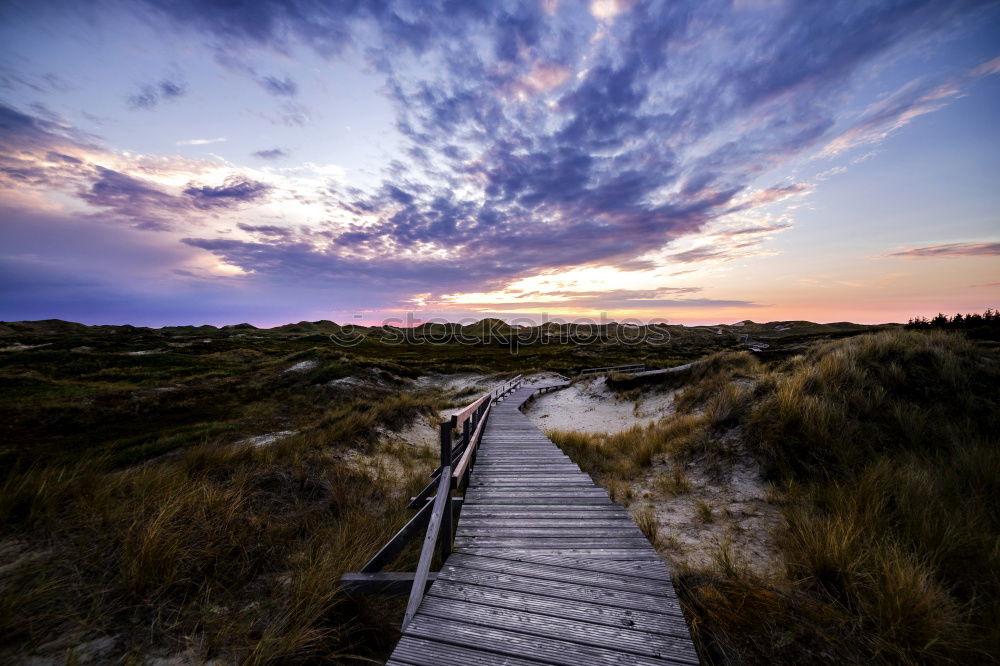 Similar – plants Beach Ocean Waves