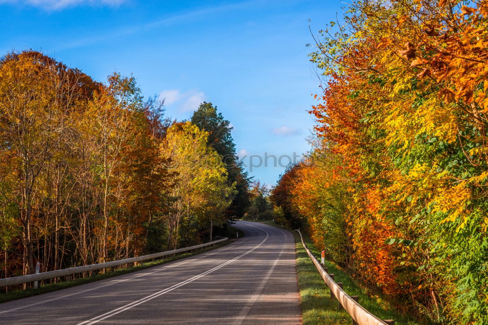 Similar – Image, Stock Photo autumn street Environment