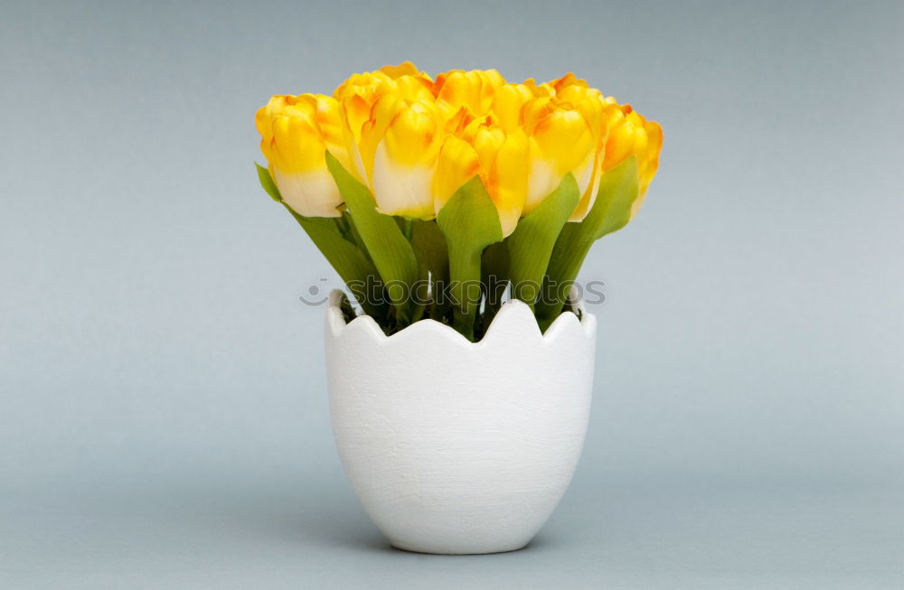 Similar – Image, Stock Photo tulip splendour Plant