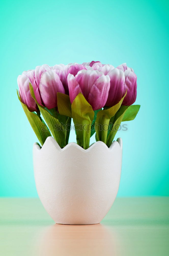 Similar – Wet Pink Tulip Flowers In Vase