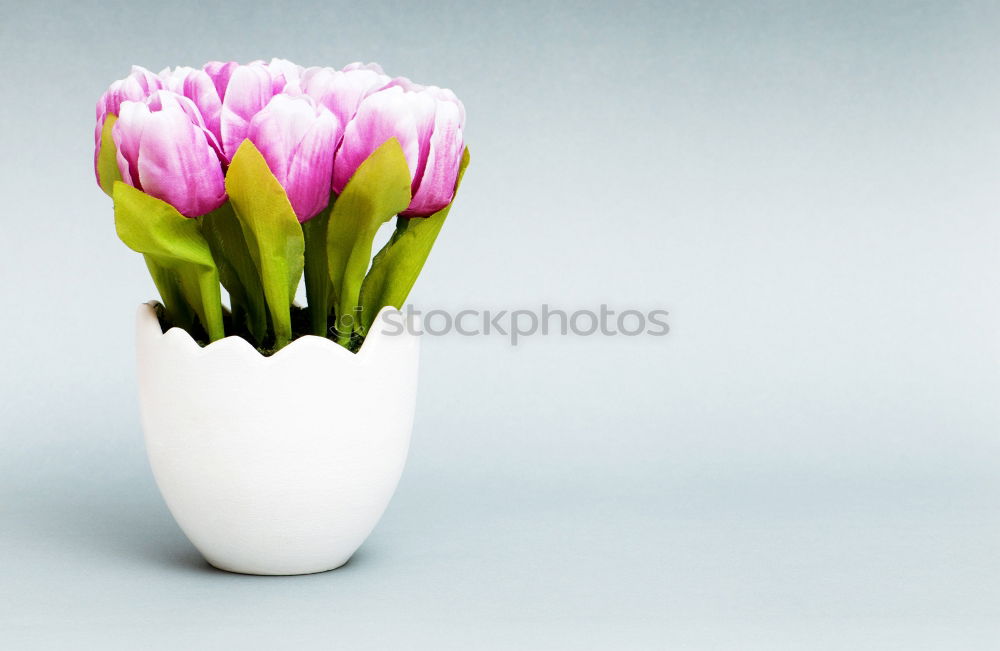 Similar – Image, Stock Photo lilies Plant Flower Leaf