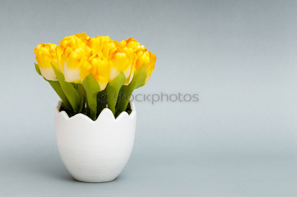 Similar – Image, Stock Photo tulip splendour Plant