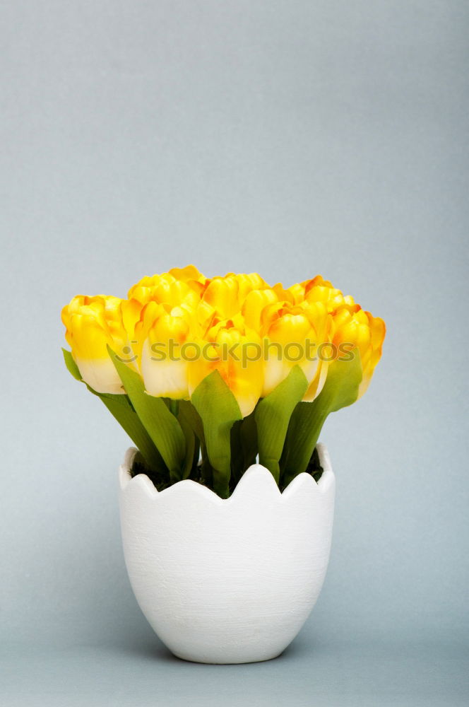 Similar – Image, Stock Photo No. IV Lifestyle Easter