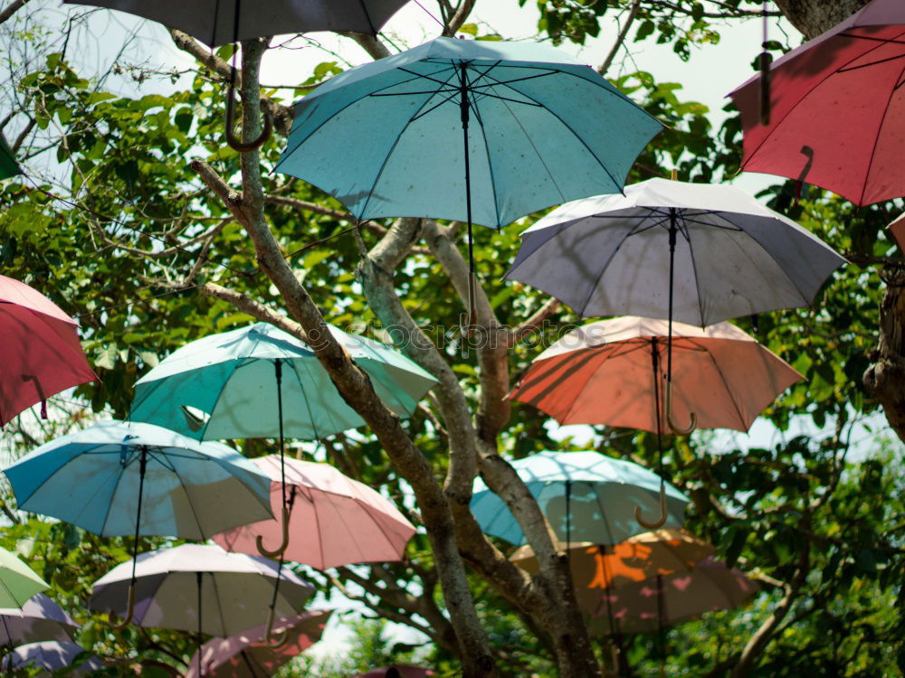 Flowered retro parasol