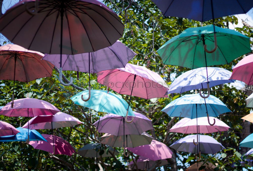 Similar – Flowered retro parasol