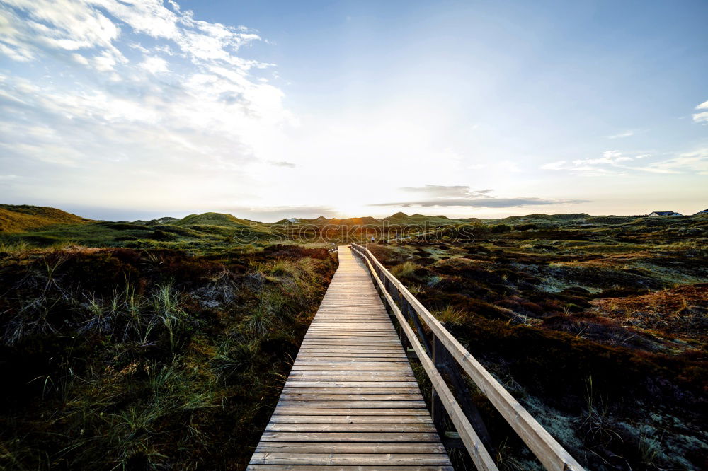 Similar – Image, Stock Photo Landscape in the dunes on the island of Amrum