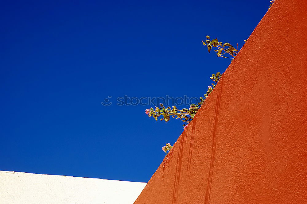 Similar – Image, Stock Photo Colourful Sky