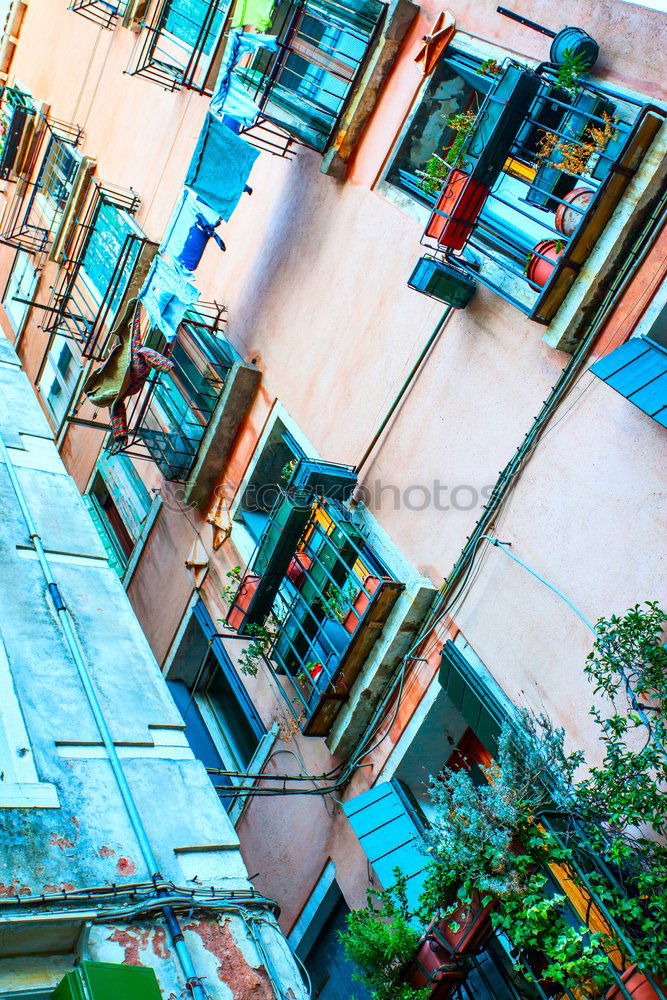 Similar – Image, Stock Photo Cinque Terre I Village