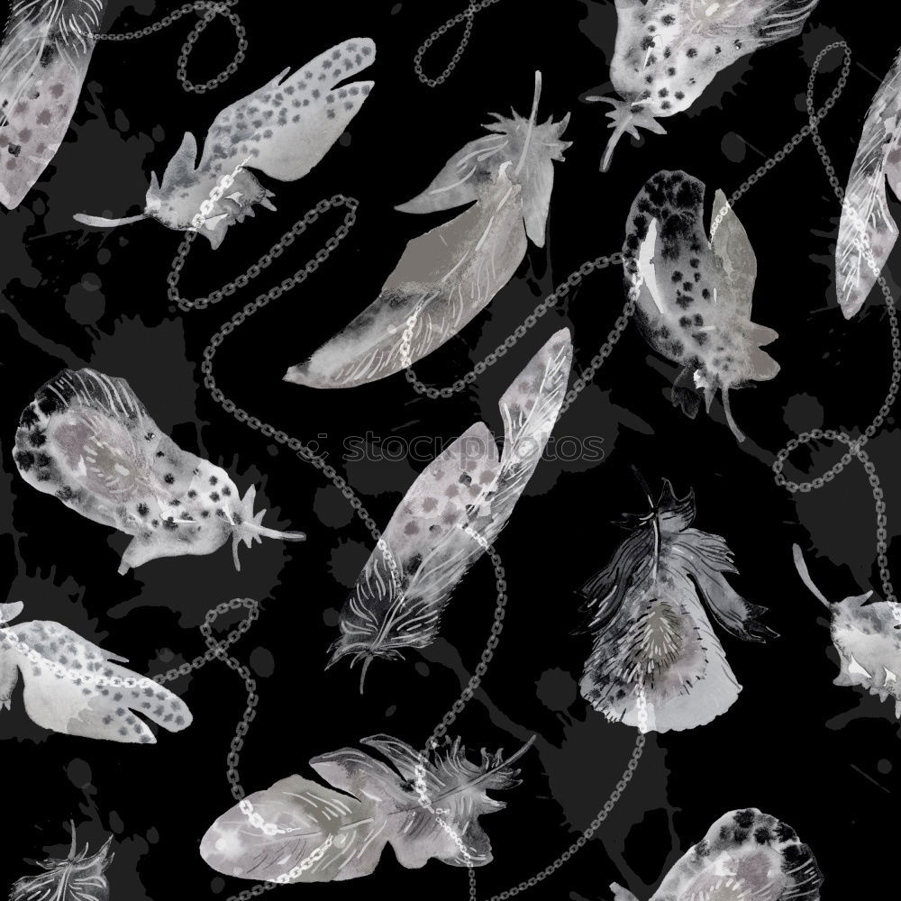 Similar – Image, Stock Photo like the fishes Fish Ocean