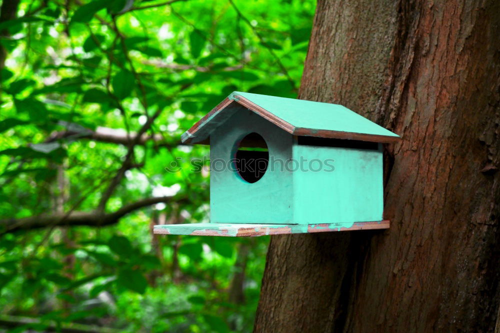 Image, Stock Photo Bird house on a tree among the green leaves