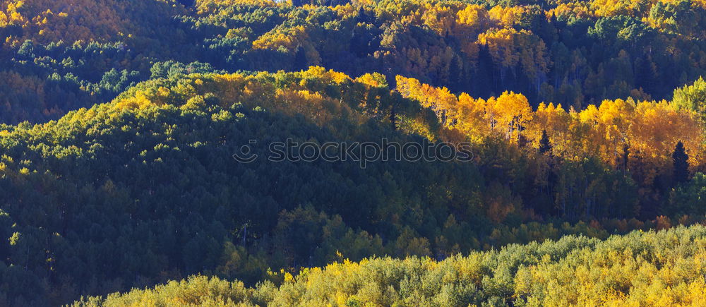 Similar – Curved road in fall forest and village.