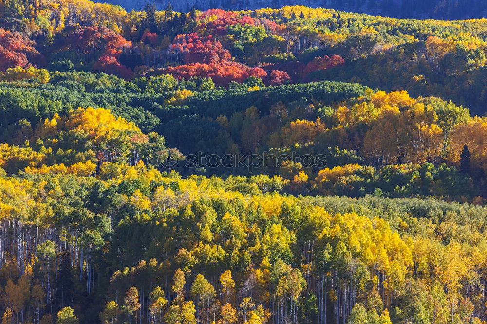 Similar – Curved road in fall forest and village.