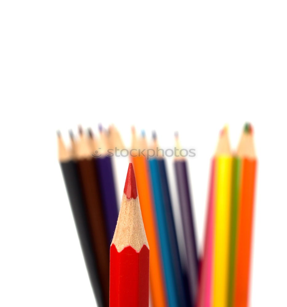 Color pencils set, row wooden color pencils isolated on white background. colored pencils for drawing. copy space