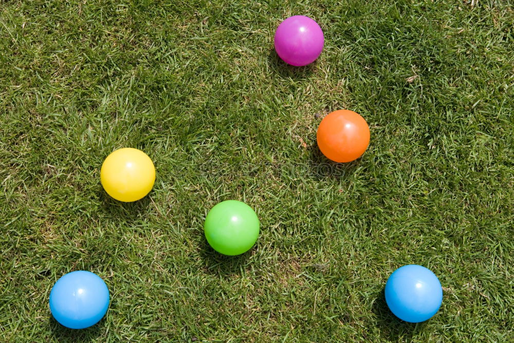 Similar – three colourful Easter eggs lie on flowering daisies in a meadow