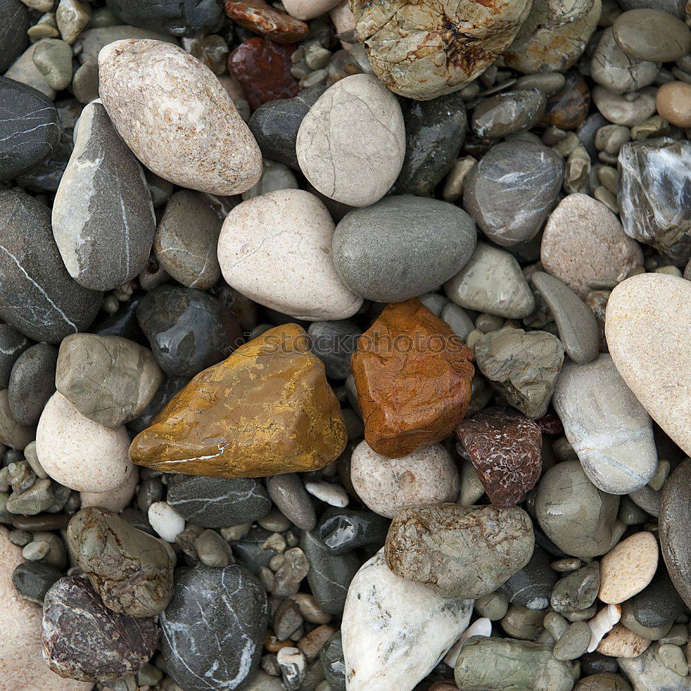 Similar – Image, Stock Photo Wet Red Pepples At Atlantic Coast in Scotland