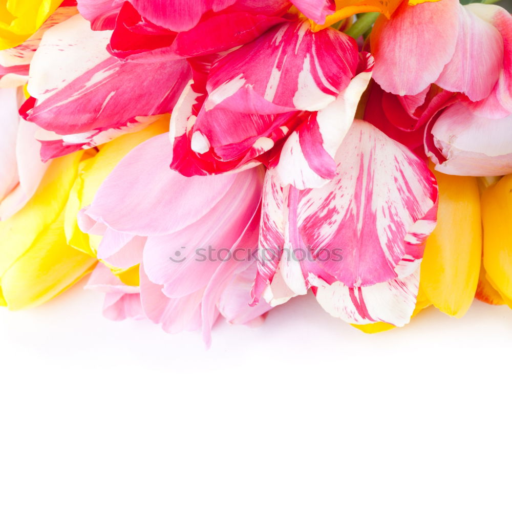 Similar – Image, Stock Photo straw hat, coconut drinks, sunglasses and palm leaves