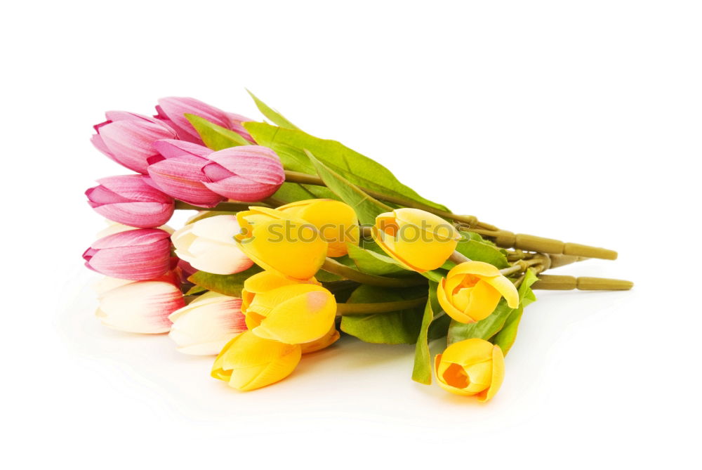 Similar – Tulips Bouquet of flowers