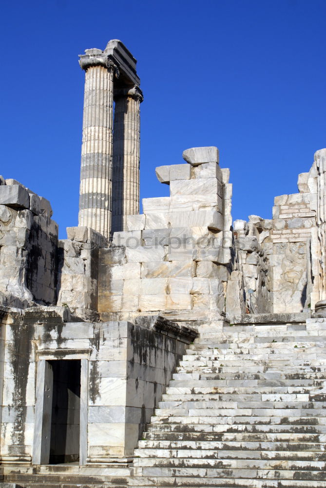 Similar – Image, Stock Photo Foro Romano (Rome, Italy)