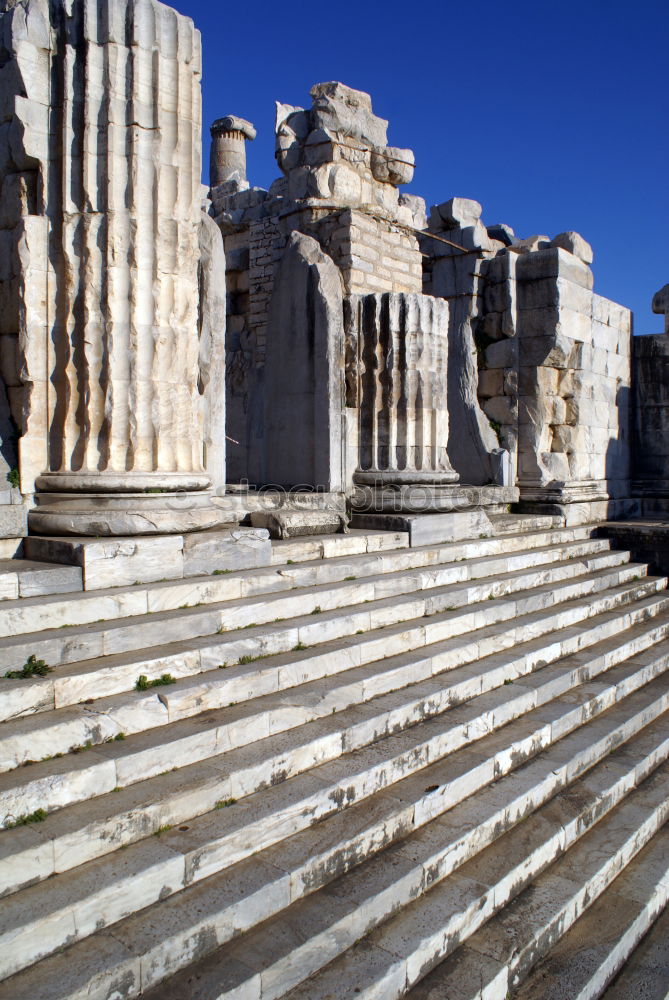 Similar – Image, Stock Photo Foro Romano (Rome, Italy)