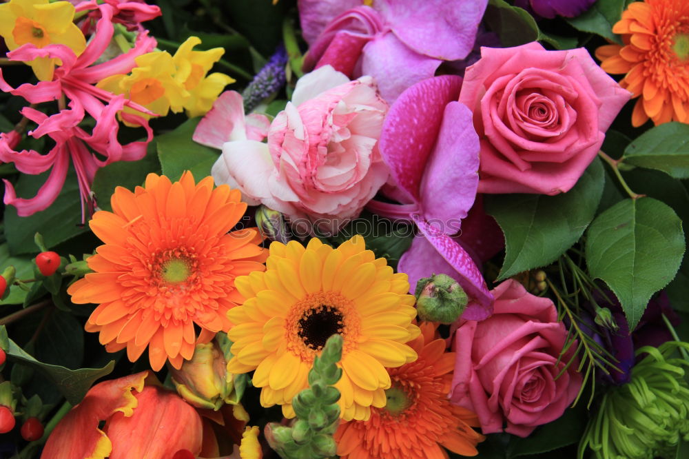 Similar – Image, Stock Photo Bouquet on red background