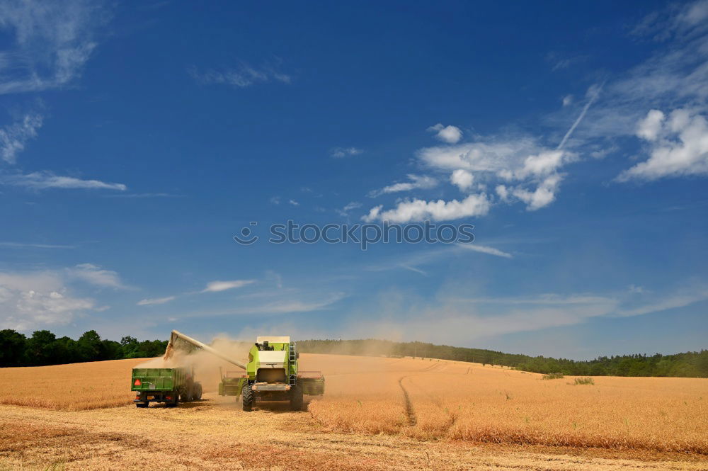 Similar – Image, Stock Photo bulldog Tractor