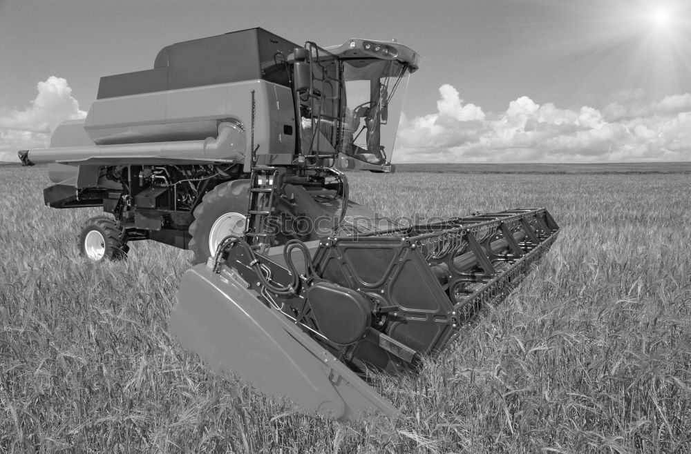 Similar – Image, Stock Photo drescher04 Ear of corn