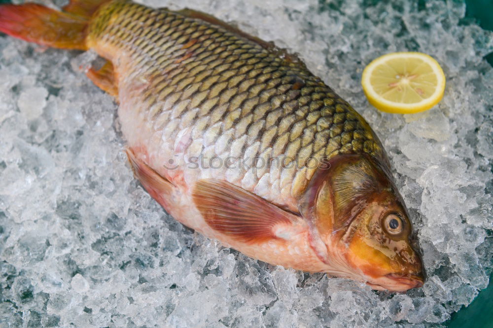 Similar – Image, Stock Photo Trout with ice cubes Food