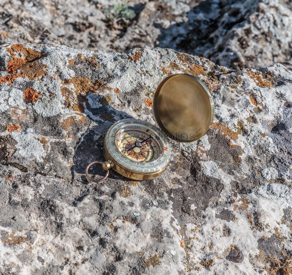 Similar – Image, Stock Photo sunbathe in twos Snail