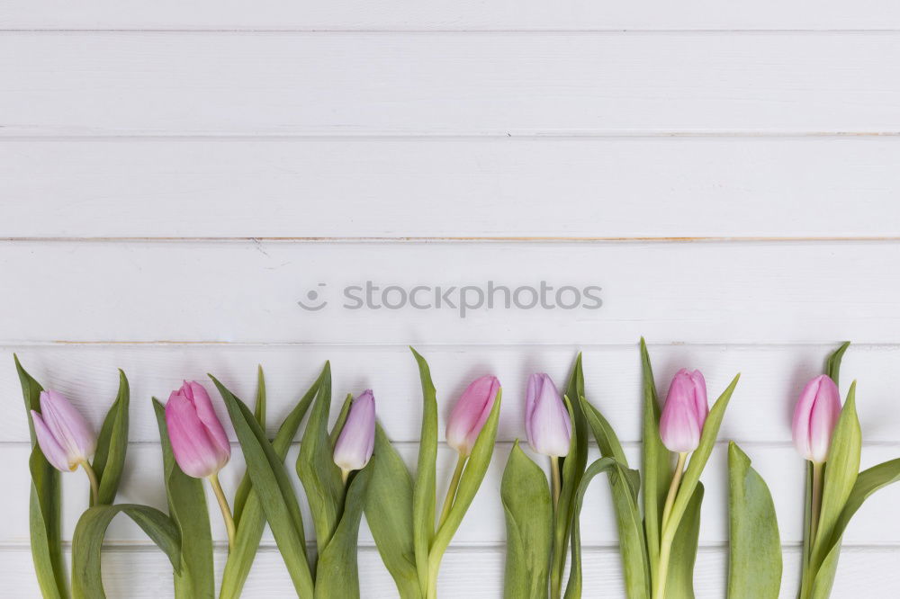 Similar – Hands preparing a Red tulips arrangement