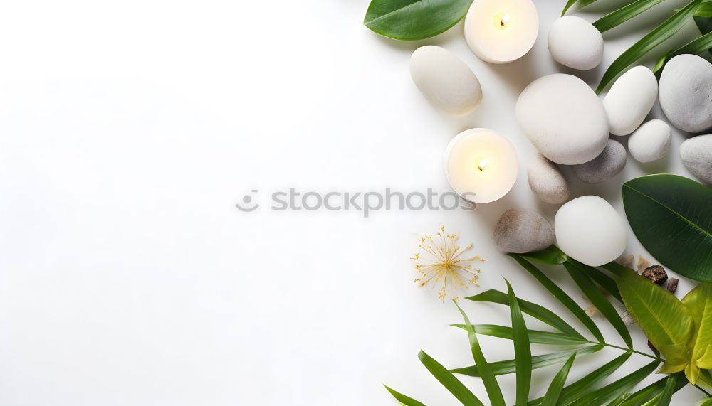 Similar – Image, Stock Photo garden world Plant