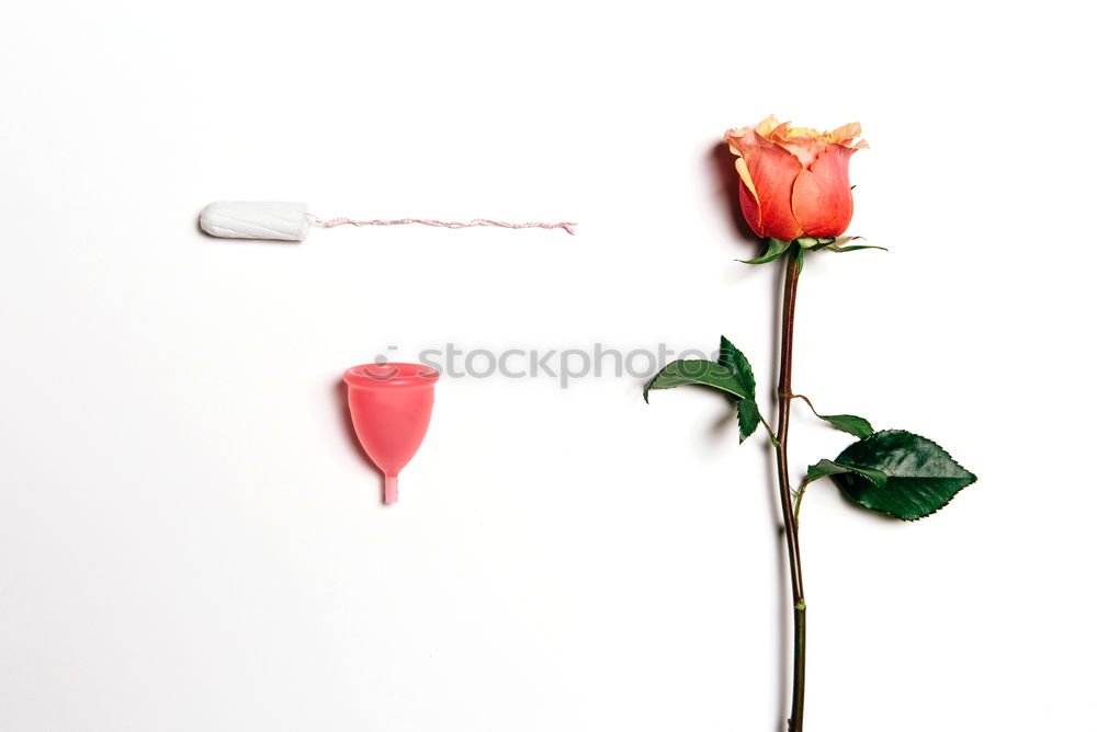 Similar – Image, Stock Photo Cosmetic bottle with pipette and flowers