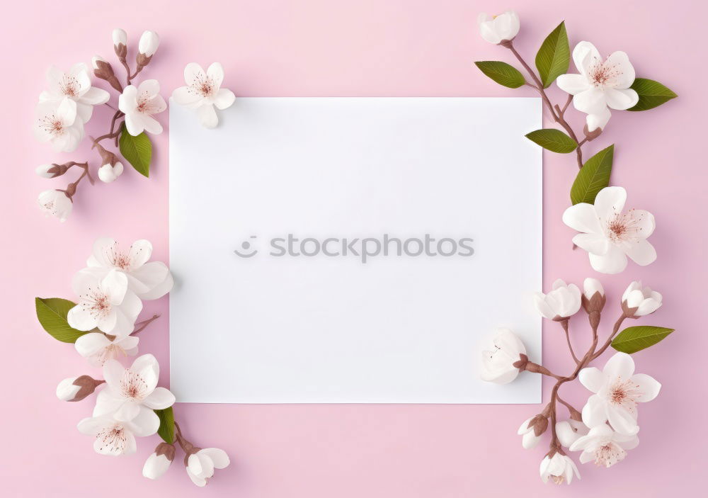 Similar – White blank card with pastel flowers and ribbon