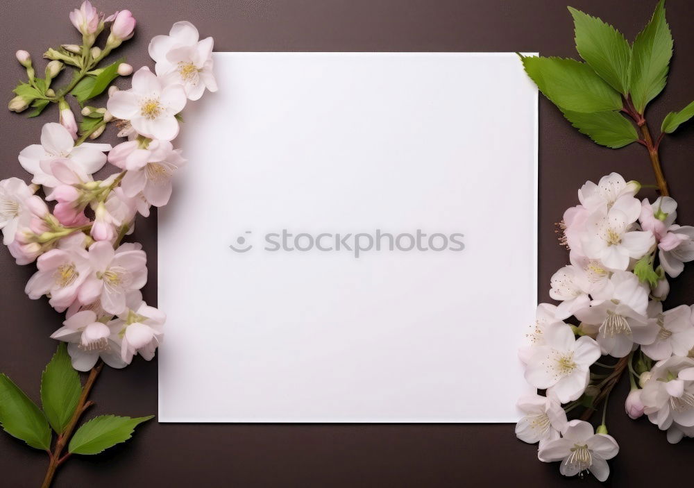 Image, Stock Photo Notebook with clean white sheets