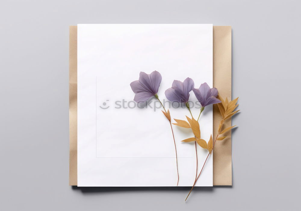 Similar – Pink flowers on white blank paper card