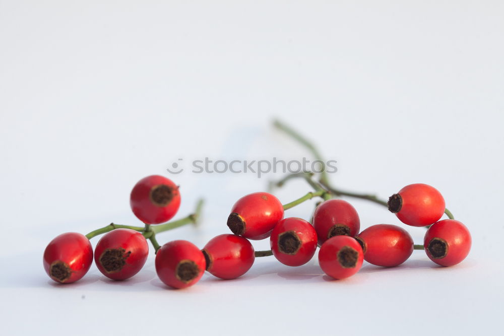 Similar – Image, Stock Photo The Red Berries Fruit